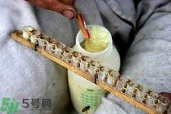 吃蜂王漿會上火嗎?吃蜂王漿的上火怎么辦 吃蜂王漿會上火嗎?吃蜂王漿的上火怎么辦