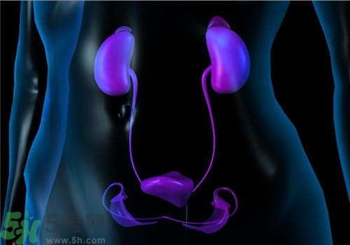 慢性腎炎能治好嗎？慢性腎炎能活多久？