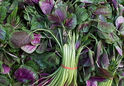 莧菜的營養(yǎng)價值 莧菜的功效與作用及食用方法 莧菜的營養(yǎng)價值 莧菜的功效與作用及食用方法