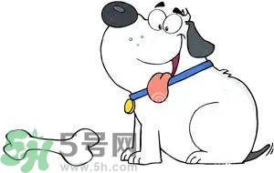 七夕單身狗怎么過？單身怎么過七夕？