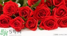 七夕和女朋友怎么過(guò)？七夕和女朋友說(shuō)什么？