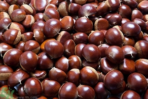 懷孕能吃板栗嗎？懷孕能吃生板栗嗎？