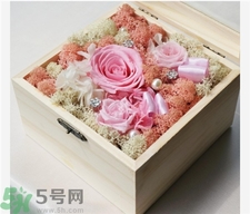 永生花怎么保養(yǎng)?永生花的保存方法 永生花怎么保養(yǎng)?永生花的保存方法