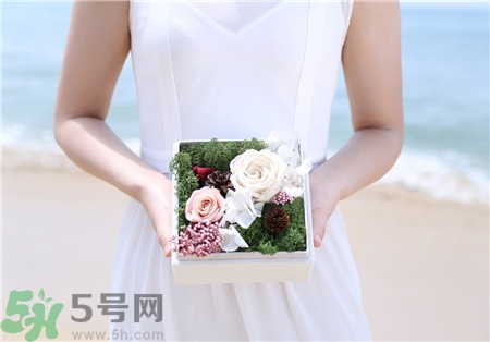 永生花怎么保養(yǎng)?永生花的保存方法 永生花怎么保養(yǎng)?永生花的保存方法