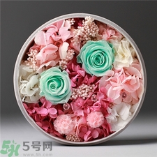 永生花怎么保養(yǎng)?永生花的保存方法 永生花怎么保養(yǎng)?永生花的保存方法