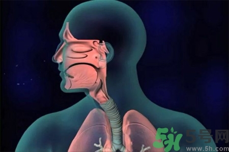 過敏性鼻炎的高發(fā)人群有哪些？如何預(yù)防過敏性鼻炎？