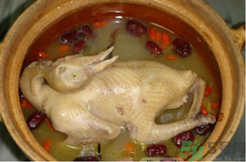 孕婦可以喝鴿子湯嗎？鴿子湯的功效與作用