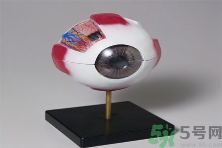 白內障的高發(fā)人群有哪些？如何預防白內障？