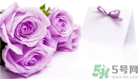 玫瑰花怎么養(yǎng)久一點?玫瑰花的養(yǎng)護(hù) 玫瑰花怎么養(yǎng)久一點?玫瑰花的養(yǎng)護(hù)