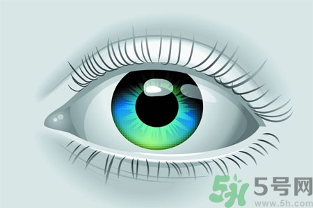 青光眼的高發(fā)人群有哪些？如何預(yù)防青光眼？