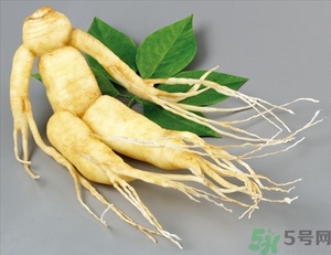 人參能生吃嗎？人參能泡水喝嗎？