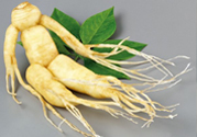 人參能生吃嗎？人參能泡水喝嗎？