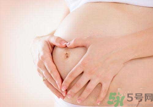 茲卡病毒通過什么途徑傳播？茲卡病毒的危害？