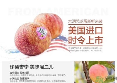 恐龍蛋水果孕婦可以吃嗎？恐龍蛋的禁忌