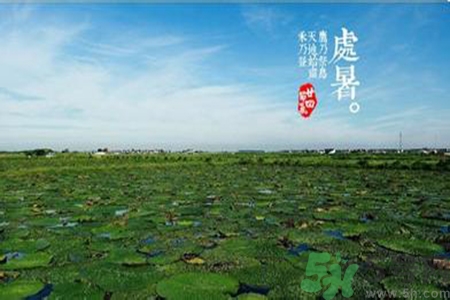 處暑吃什么水果？處暑養(yǎng)生水果推薦