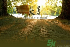 處暑喝什么茶？處暑養(yǎng)生茶推薦