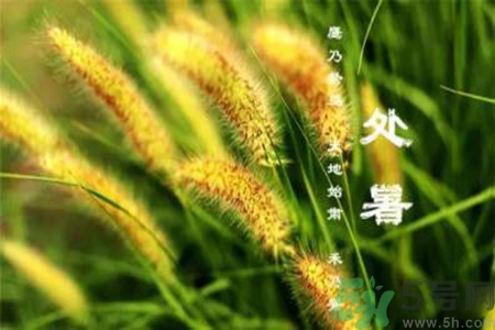 處暑出生的人怎么取名？處暑出生的人的命運(yùn)？