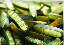 吃海茸有什么好處?海茸的功效與作用 吃海茸有什么好處?海茸的功效與作用