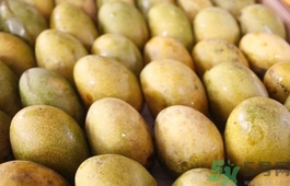 青芒和黃色芒果哪個(gè)好？青芒和黃色芒果的區(qū)別