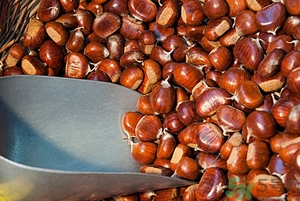 女人吃板栗好不好？男人吃板栗有什么好處？