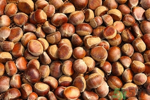 板栗皮可以吃嗎？板栗皮的功效與作用