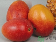 青芒和黃色芒果哪個(gè)好？青芒和黃色芒果的區(qū)別