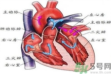 先天性心臟病可以用藥物治療嗎？