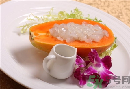 雪蛤是海鮮嗎?雪蛤是什么 雪蛤是海鮮嗎?雪蛤是什么