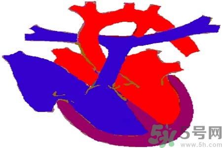 心臟病是怎么形成的？易發(fā)人群有哪些？