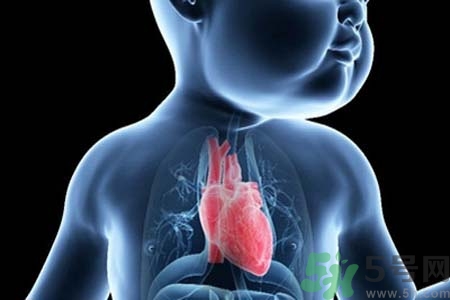 如何預(yù)防心臟病？心臟病的禁忌癥有哪些？