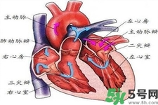 心臟病的癥狀是什么？心臟病的種類有哪些？