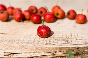 吃山楂會發(fā)胖嗎?一個山楂的熱量是多少 吃山楂會發(fā)胖嗎?一個山楂的熱量是多少