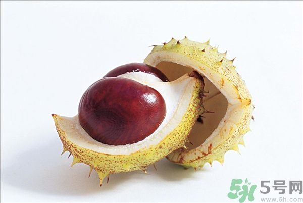 吃板栗能喝茶嗎?板栗和茶能一起吃嗎 吃板栗能喝茶嗎?板栗和茶能一起吃嗎