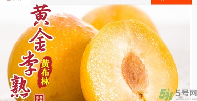 恐龍蛋水果怎么吃？恐龍蛋水果皮能吃嗎？