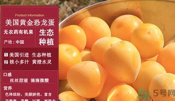 恐龍蛋水果怎么吃？恐龍蛋水果皮能吃嗎？