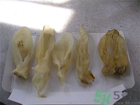 怎么辨別花膠真假?花膠真假鑒別 怎么辨別花膠真假?花膠真假鑒別