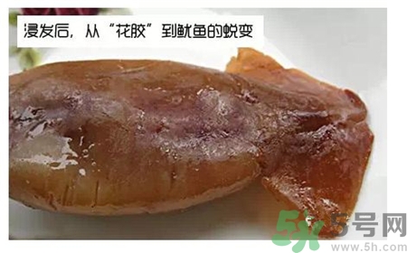 怎么辨別花膠真假?花膠真假鑒別 怎么辨別花膠真假?花膠真假鑒別