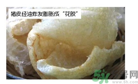 怎么辨別花膠真假?花膠真假鑒別 怎么辨別花膠真假?花膠真假鑒別