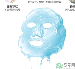 一葉子適合什么年齡？一葉子適合多大年齡？