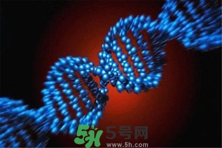 不宜過多食用辣椒的人群有哪些？夏天吃辣椒的好處有哪些？