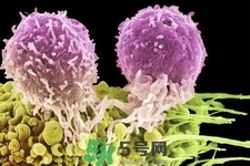 不宜過多食用辣椒的人群有哪些？夏天吃辣椒的好處有哪些？