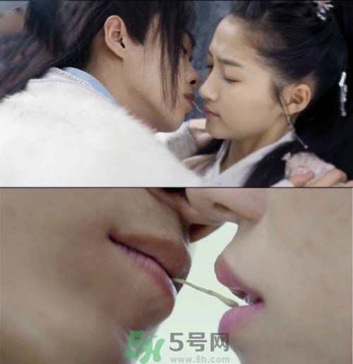 天空草是什么？天空草有什么用？