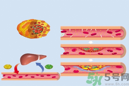 膽固醇對(duì)人體有傷害嗎？膽固醇是什么？
