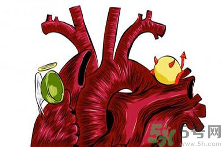 人體中的膽固醇分好壞嗎？如何區(qū)分膽固醇的好壞？