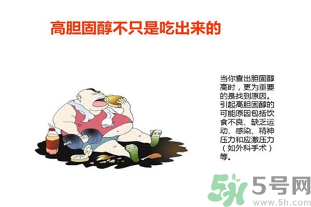 高膽固醇會影響胖瘦嗎？高膽固醇和胖瘦有關(guān)系嗎？