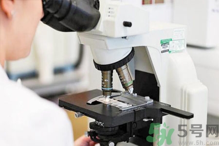 激素是什么？激素會(huì)對(duì)人體產(chǎn)生什么作用？