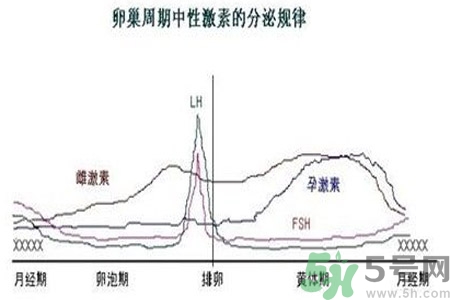 如何分清常見(jiàn)的激素藥？如何正確使用激素類(lèi)藥物？