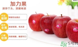 姬娜果是什么？姬娜果的功效作用