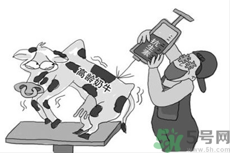 感冒一天吃6片抗生素有危害嗎？抗生素屬于激素類(lèi)藥物嗎？