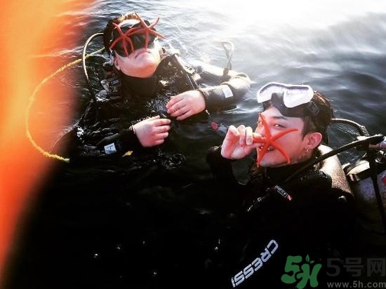 海星可以離開水嗎？海星離開水還可以活多久？